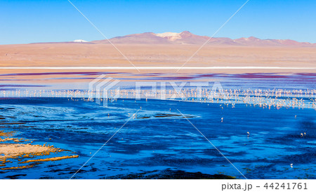Laguna Colorada lake Laguna Colorada lake 44241761