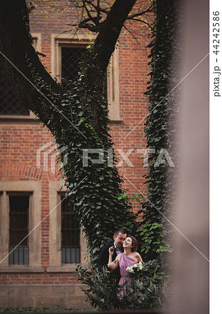 European couple, bride and groom kissing in the park near big tree 44242586