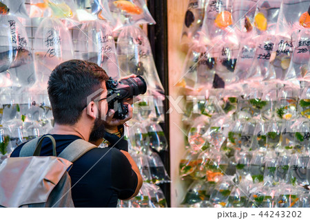 Man taking a photo at goldfish market in Hong Kong Man taking a photo at goldfish market in Hong Kong 44243202