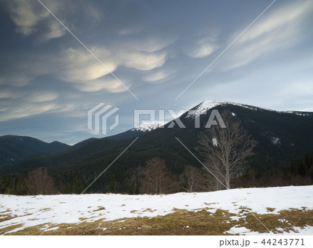 Spring landscape with beech trees on the hill 44243771