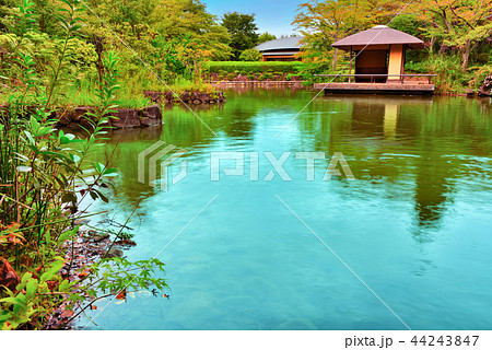 柏の葉公園 日本庭園の池 柏の葉公園 日本庭園の池 44243847