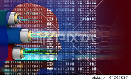 3d abstract of data cables head silhouette 44245357