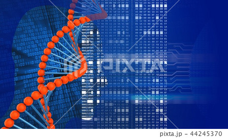 3d abstact dna shape head silhouette 3d abstact dna shape head silhouette 44245370