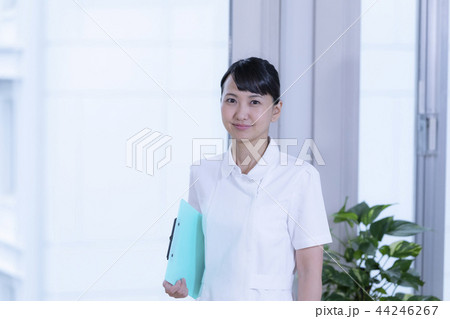 看護師 44246267