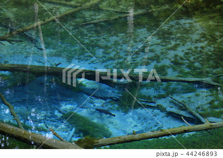 神の子池(北海道清里町) 神の子池(北海道清里町) 44246893