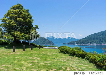 長浜城跡 第一曲輪 長浜城跡 第一曲輪 44247143