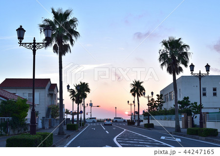 館山湾に沈む夕日 44247165