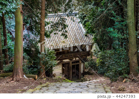仁王門 摠見寺 安土城 仁王門 摠見寺 安土城 44247393