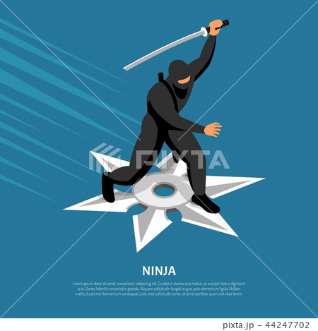 Ninja Warrior Isometric Poster  44247702