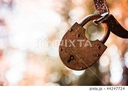 Vintage grunge metallic Old Lock 44247724
