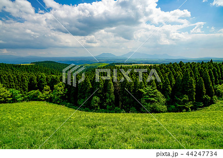 ヒゴタイ公園 阿蘇五岳 ヒゴタイ公園 阿蘇五岳 44247734