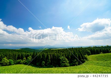 ヒゴタイ公園　阿蘇五岳 44247735