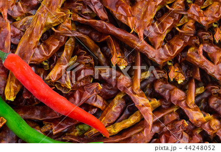 pair of fresh chili red green copy space pair of fresh chili red green copy space 44248052