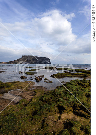 光打撃海岸 済州島 空 44248447