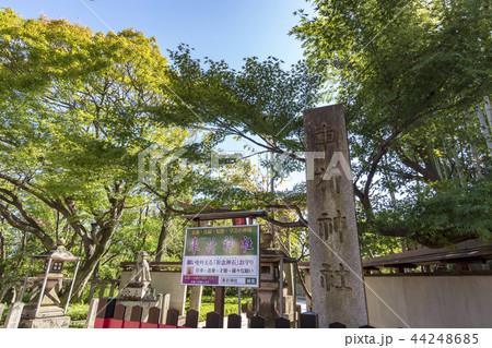 京都　車折神社 44248685