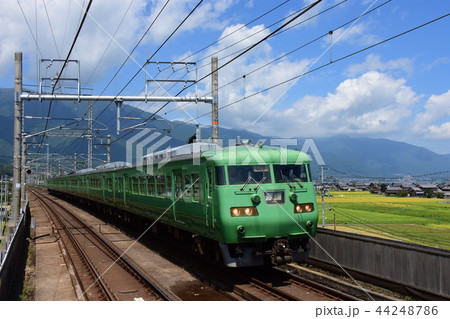 湖西線　117系　 44248786