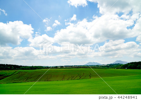 産山村 麦畑 産山村 麦畑 44248941