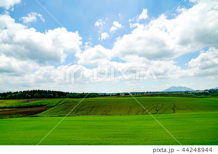 産山村 麦畑 産山村 麦畑 44248944