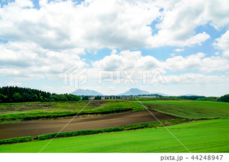産山村 麦畑 産山村 麦畑 44248947