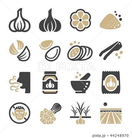 garlic icon garlic icon 44248970