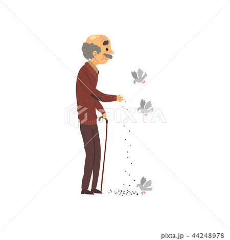 Senior man feeding doves, elderly man cartoon character leading an active lifestyle vector 44248978