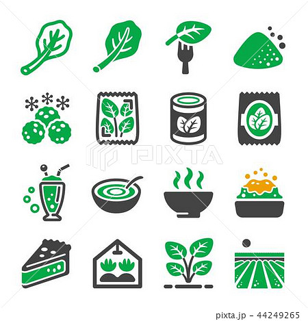 spinach icon 44249265