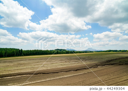 産山村　麦畑 44249304