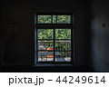 窓 逆光 自然 44249614