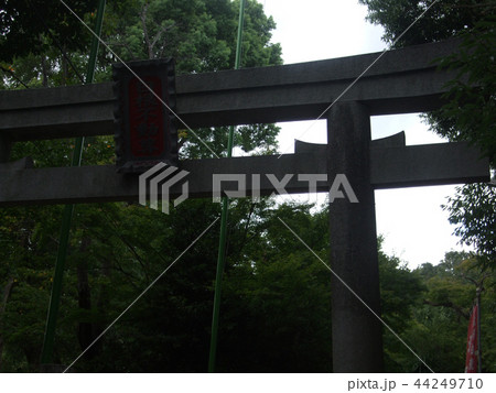 白根神社 44249710