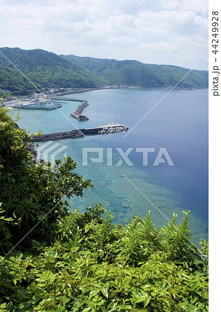 茅打ちバンタ(沖縄県国頭村) 茅打ちバンタ(沖縄県国頭村) 44249928