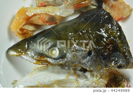 grilled salmon fish head with soy sauce on plate grilled salmon fish head with soy sauce on plate 44249989