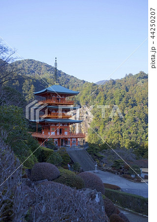 三重の塔と那智滝 44250207