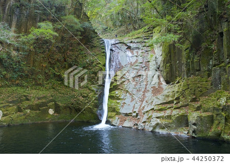 赤目四十八滝〜布曳滝〜 44250372