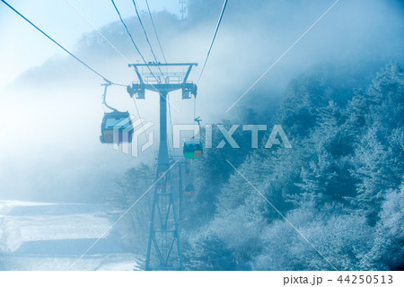 冬 目 吹雪 44250513