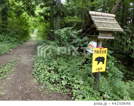 高川山・登山口（初狩駅側）（山梨県都留市・大月市） 44250646