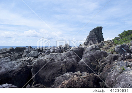 室戸岬〜エボシ岩 44250655