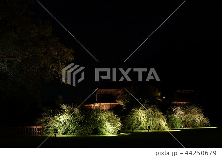 偕楽園　萩まつり 44250679