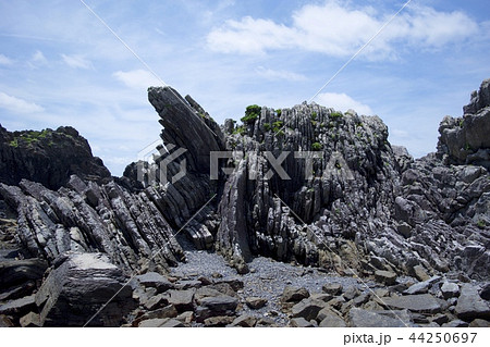 室戸岬〜タービダイト層 44250697