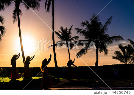 《ハワイ》フラダンスショー・オアフ島 《ハワイ》フラダンスショー・オアフ島 44250749