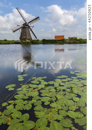 Windmill - Netherlands Windmill - Netherlands 44250925