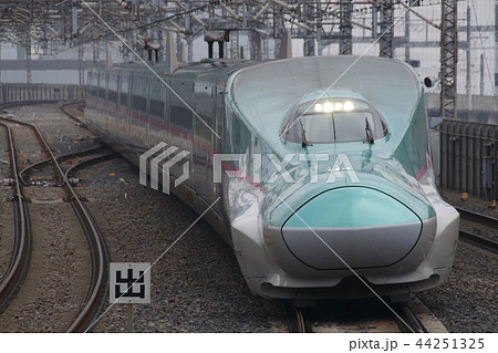 東北新幹線E5系(単独)hayate 東北新幹線E5系(単独)hayate 44251325
