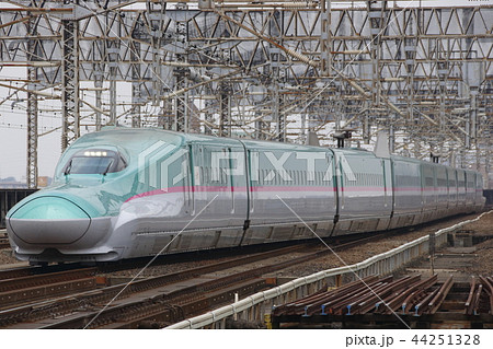 東北新幹線E5系（単独） 44251328