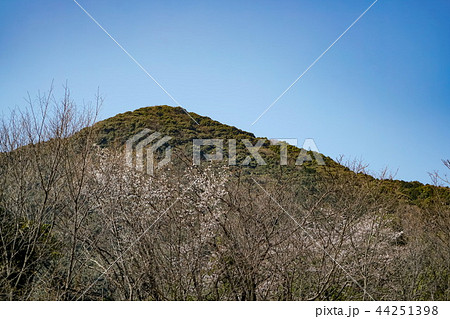 金立山 金立公園 金立山 金立公園 44251398