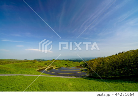扇棚田　産山村 44251664