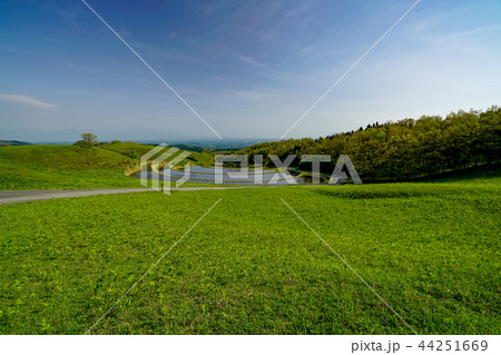 扇棚田　産山村 44251669