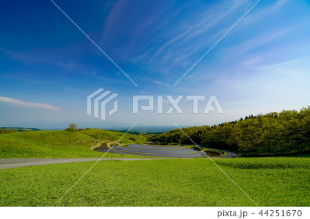 扇棚田　産山村 44251670