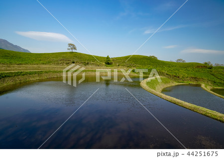 扇棚田　産山村 44251675