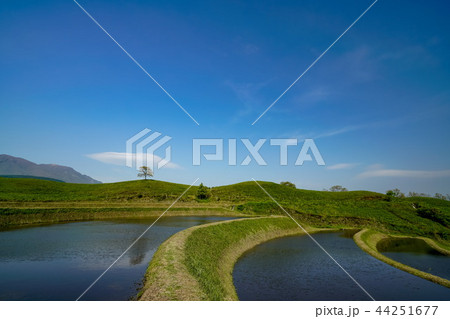 扇棚田 産山村 扇棚田 産山村 44251677