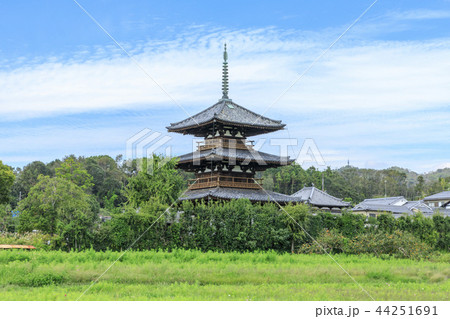 法起寺 法起寺 44251691