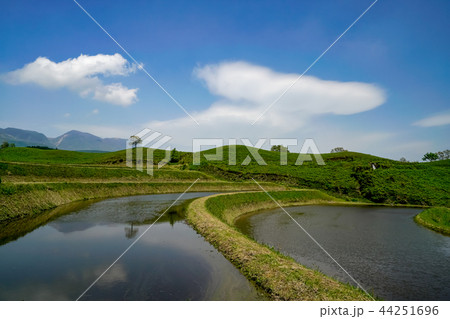 扇棚田　産山村 44251696